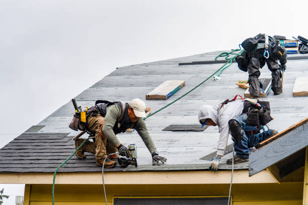 Professional Roofing technician working in East Dubuque, IL